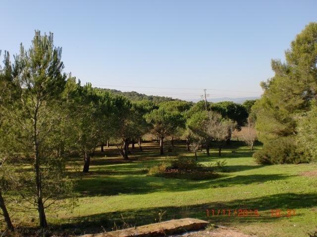 Puig Gros Montras Bagian luar foto