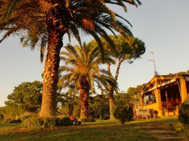 Puig Gros Montras Bagian luar foto